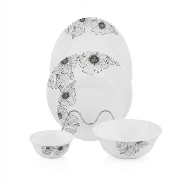 20 Pieces Dinner Set